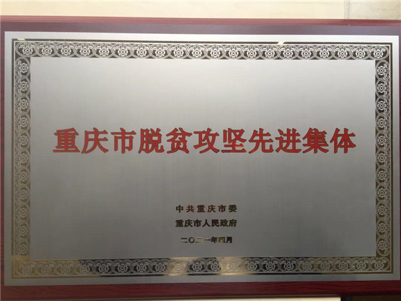 中国电信重庆公司荣获重庆市脱贫攻坚先进集体。中国电信重庆公司供图 华龙网发